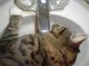 dsc08712_small.jpg
