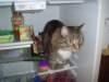 dsc08716_small.jpg