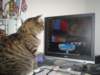 dsc08718_small.jpg