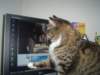 dsc08721_small.jpg