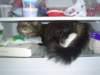 dsc08723_small.jpg