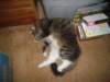 dsc08728_small.jpg