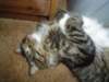 dsc08731_small.jpg