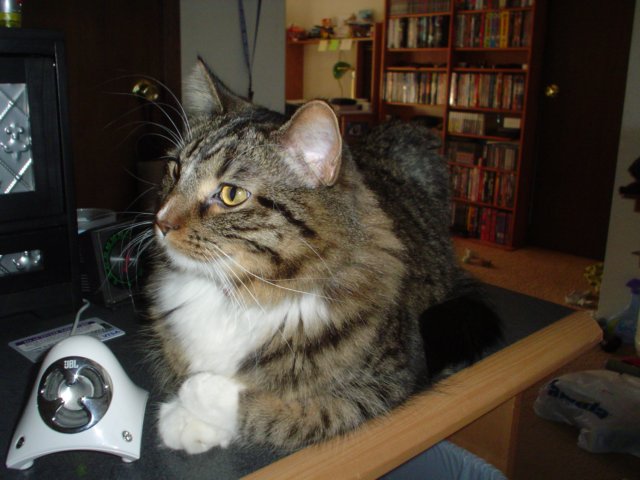 dsc08742.jpg