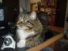 dsc08742_small.jpg