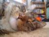 dsc08750_small.jpg