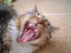 dsc08753_small.jpg
