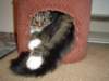 dsc08754_small.jpg