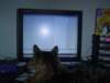 dsc08757_small.jpg