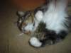 dsc08758_small.jpg
