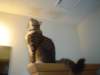 dsc08762_small.jpg