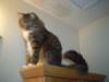 dsc08763_small.jpg
