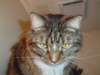 dsc08764_small.jpg
