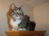 dsc08765_small.jpg