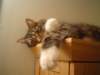 dsc08767_small.jpg