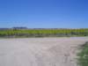 dsc04946_small.jpg