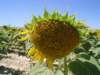 dsc04954_small.jpg