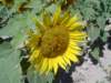 dsc04960_small.jpg