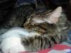dsc05398_small.jpg