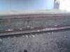 Photo Number 8