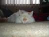 dsc08857_small.jpg