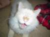 dsc08858_small.jpg
