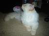 dsc08863_small.jpg