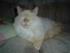 dsc08865_small.jpg