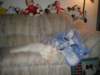 dsc08866_small.jpg