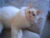 dsc08867_small.jpg