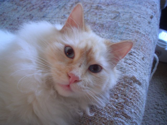 dsc08868.jpg