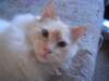 dsc08868_small.jpg