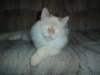 dsc08871_small.jpg