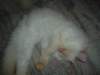 dsc08873_small.jpg