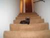 dsc08874_small.jpg