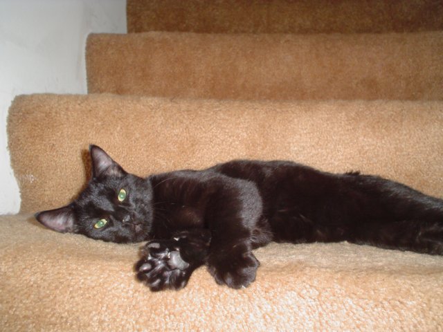 dsc08875.jpg