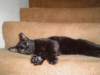 dsc08875_small.jpg