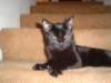 dsc08876_small.jpg