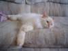 dsc08879_small.jpg