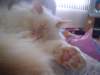 dsc08882_small.jpg