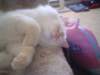 dsc08885_small.jpg