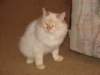 img_7533_small.jpg