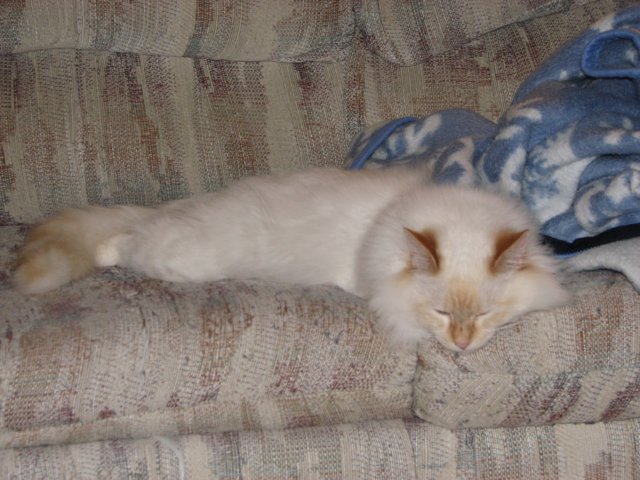 img_7586.jpg