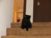 img_7589_small.jpg