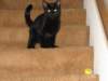 img_7591_small.jpg
