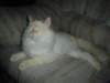 dsc08908_small.jpg