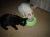 dsc08912_small.jpg