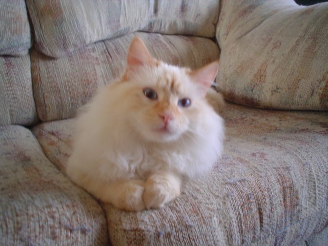 dsc08922.jpg