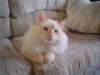 dsc08922_small.jpg