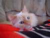 dsc08928_small.jpg